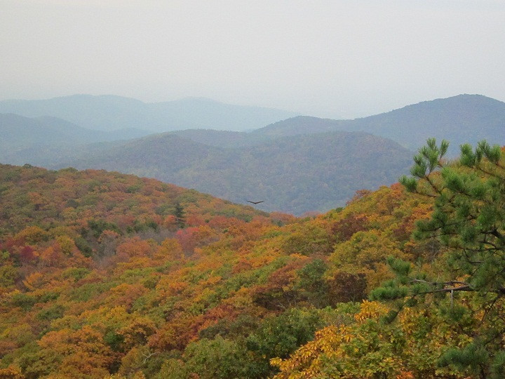 Bearfence Mountain景点图片