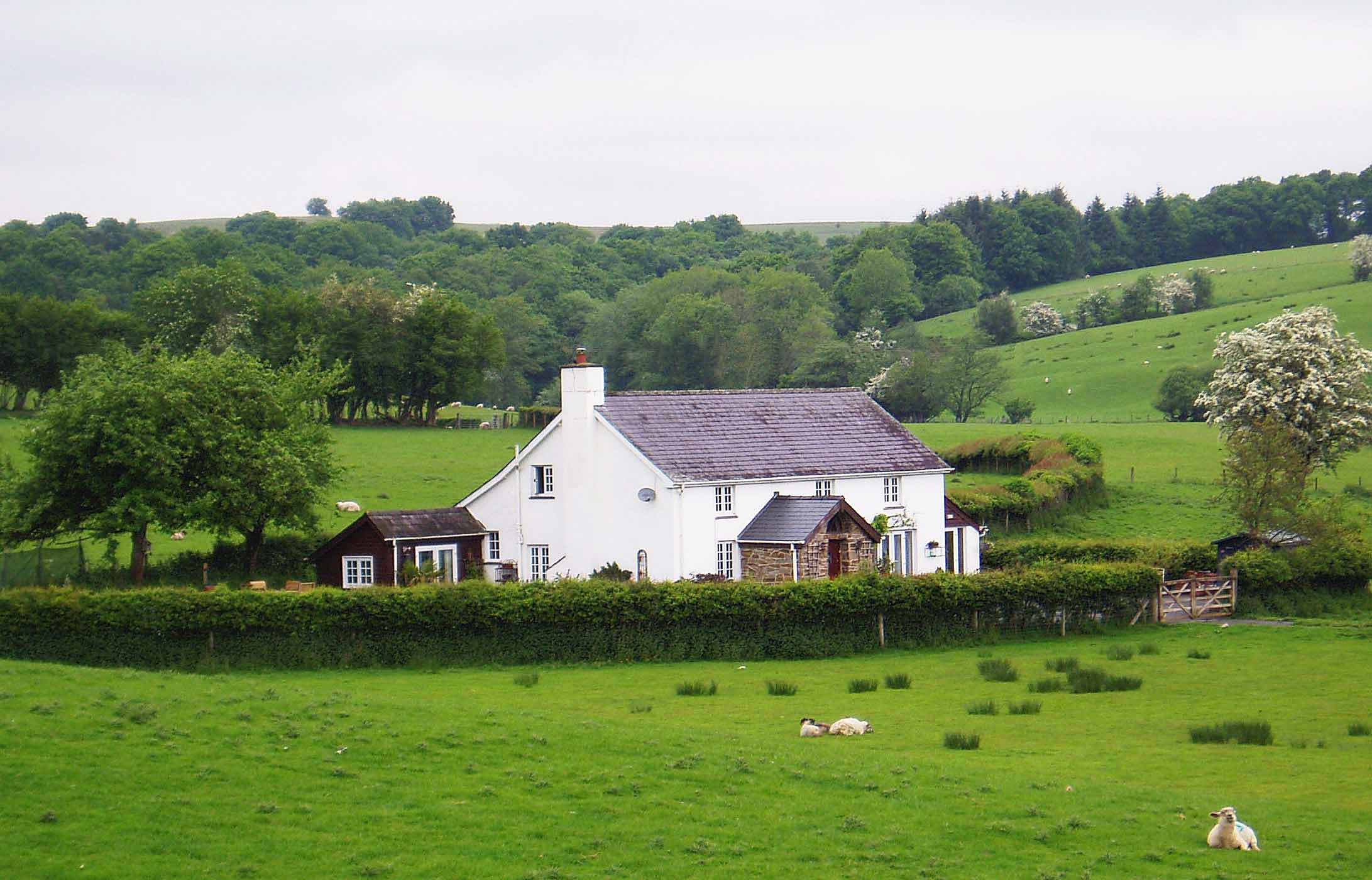 Rhedyn Guesthouse-官方