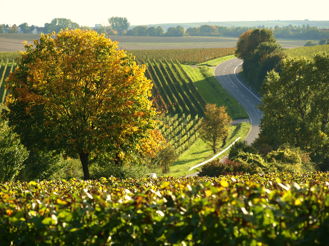 Weinstube Zur Angela-Gastehaus主图