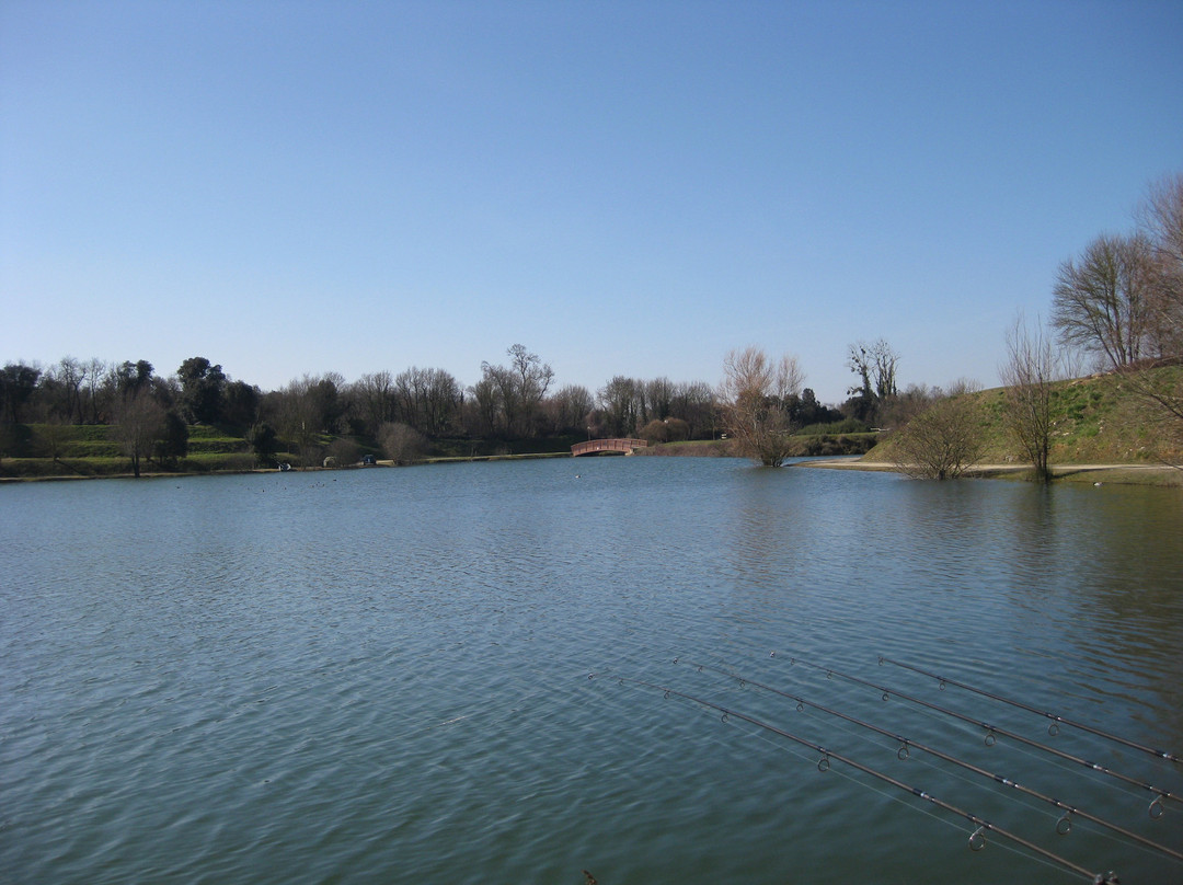 Lac de Trizay景点图片