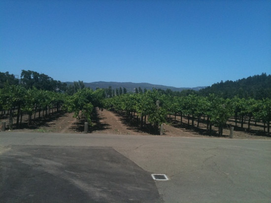 St. Supery Winery景点图片