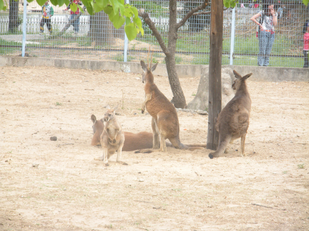北京野生动物园-北京市必去景点