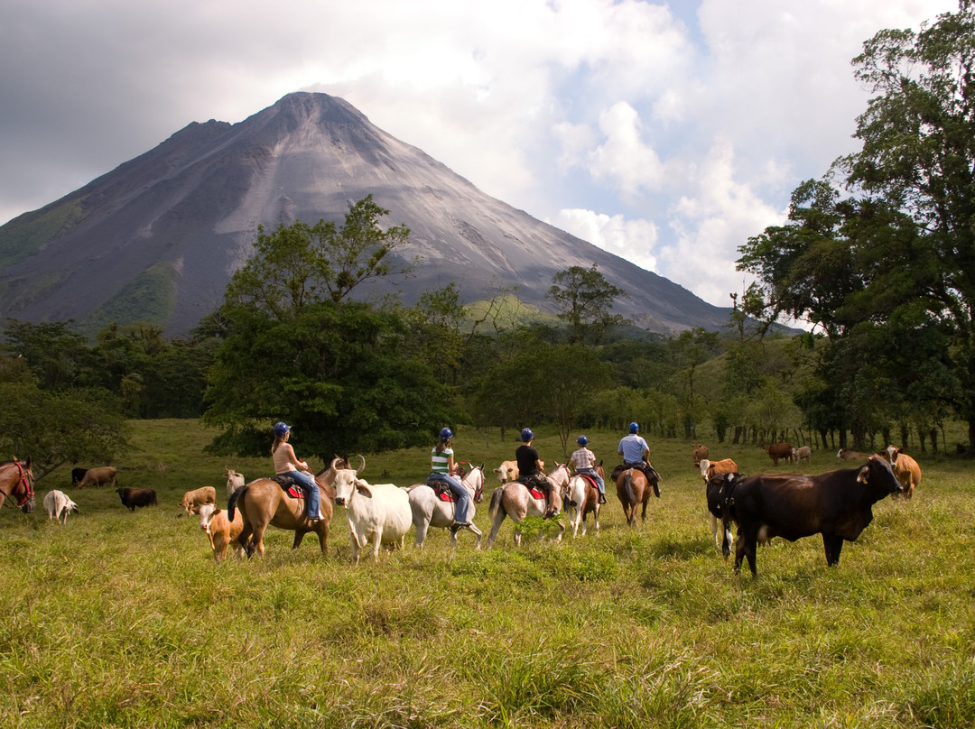 Cabalgata Don Tobias-福德圣卡洛斯必去景点