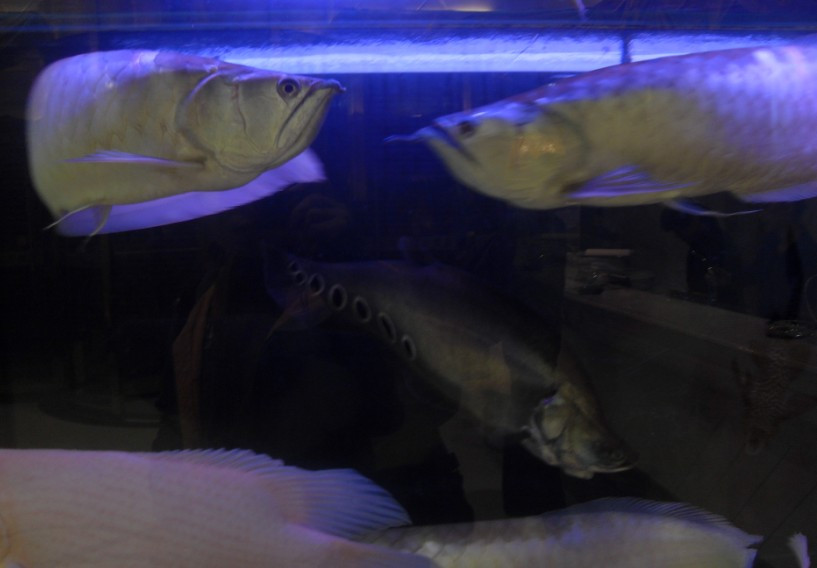 阳光假日酒店主图