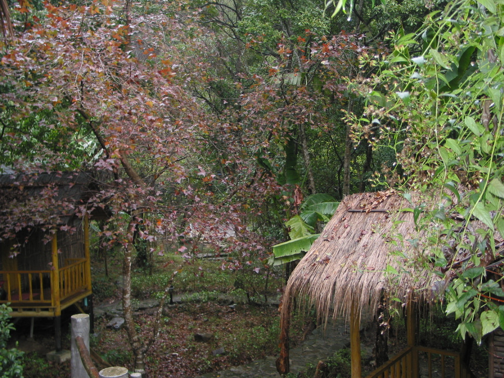 盘龙天堂度假酒店主图