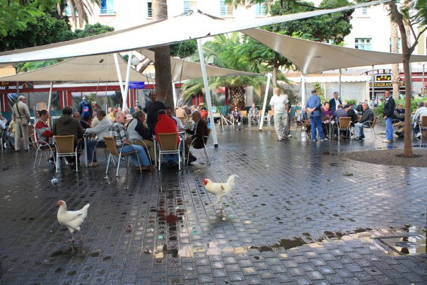Parque de Santa Catalina景点图片