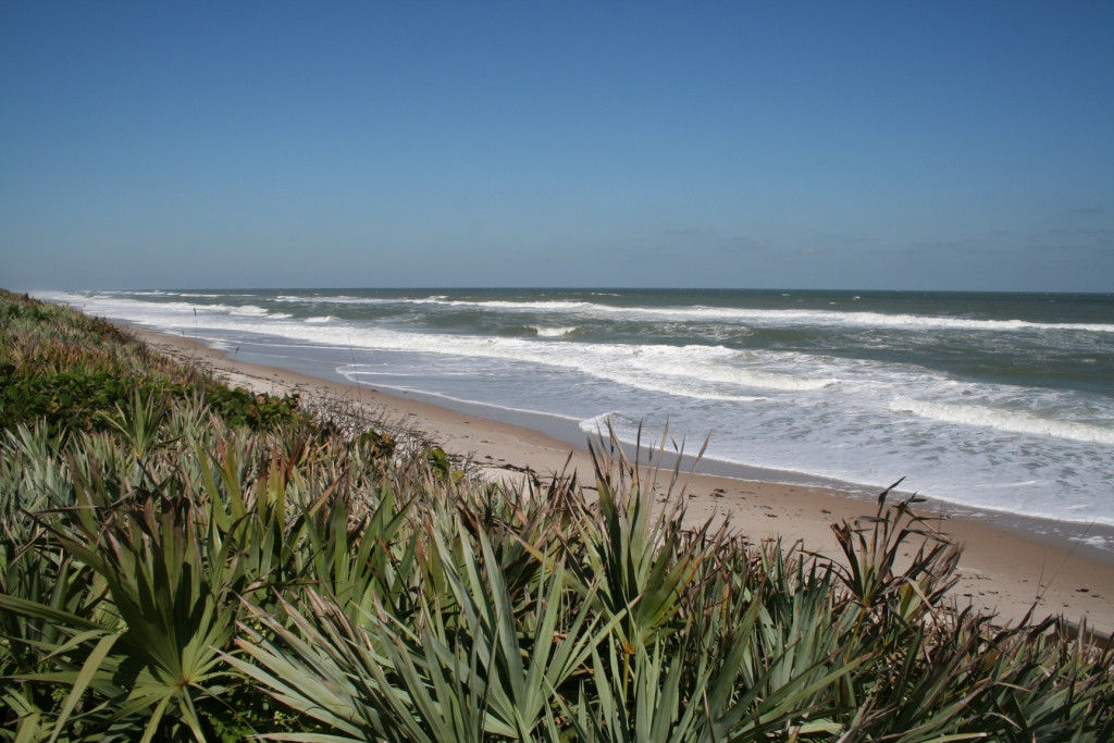 Canaveral National Seashore景点图片