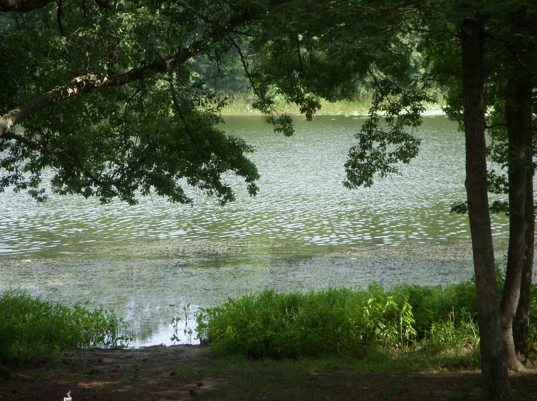 Huntsville State Park-Huntsville必去景点