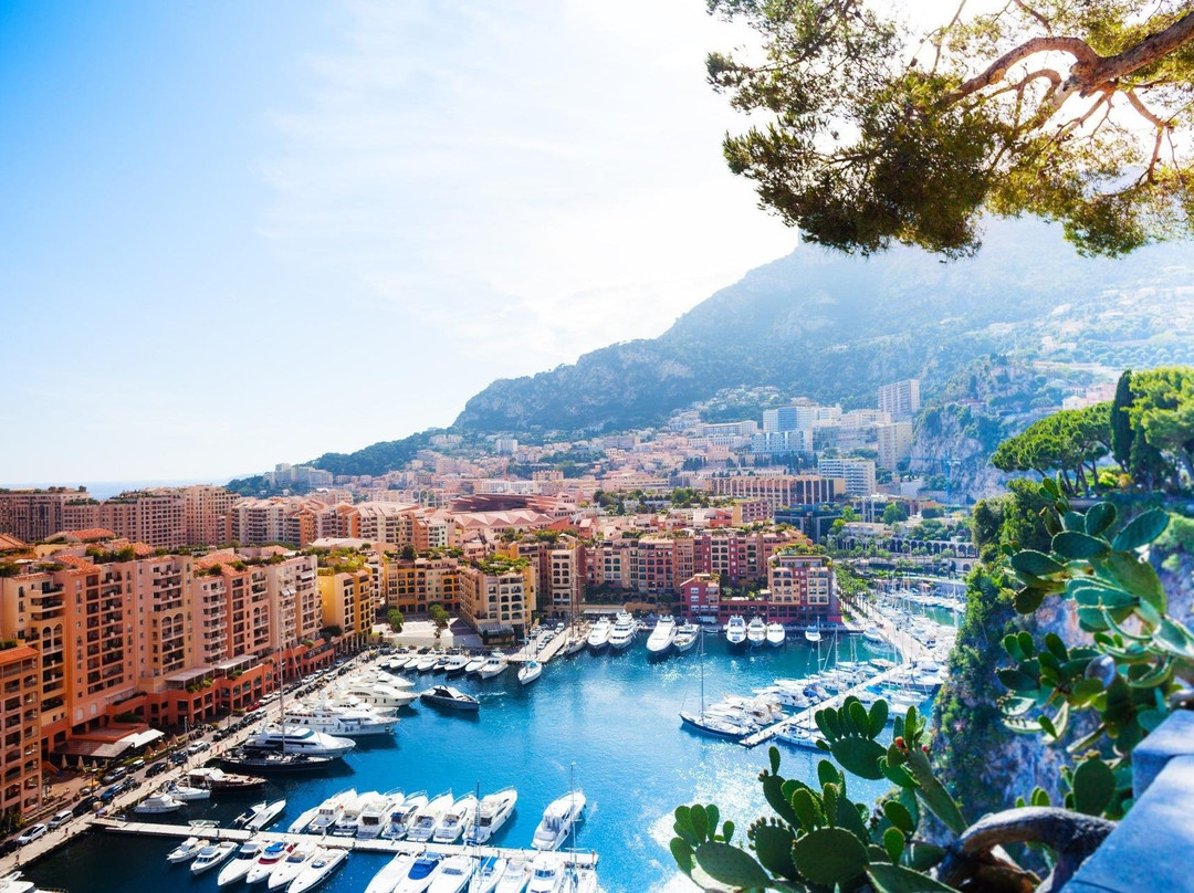 Riviera Bar Crawl & Tours