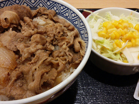 岩仓市餐馆和美食-Yoshinoya Iwakura