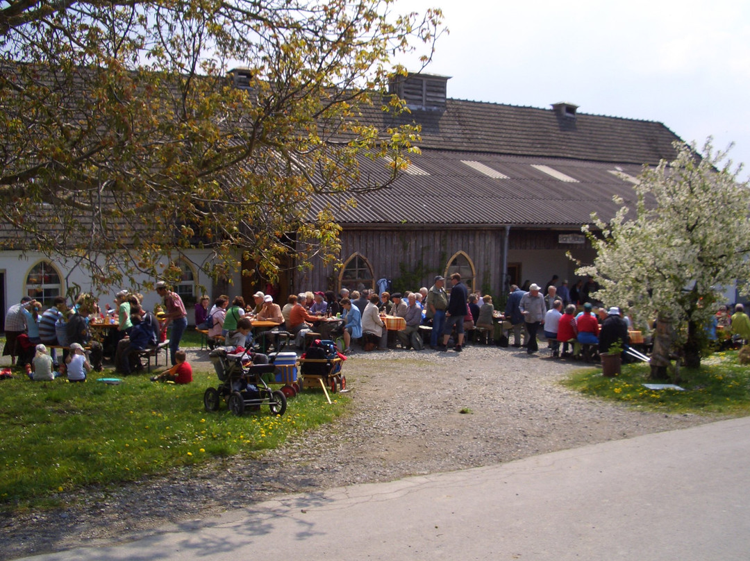 Hofladen Schloss Benzenhofen景点图片