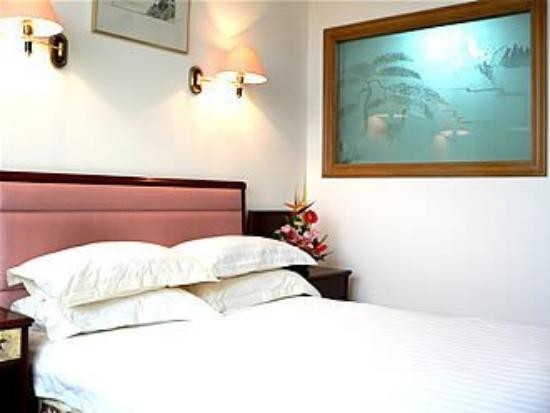 银发大酒店主图