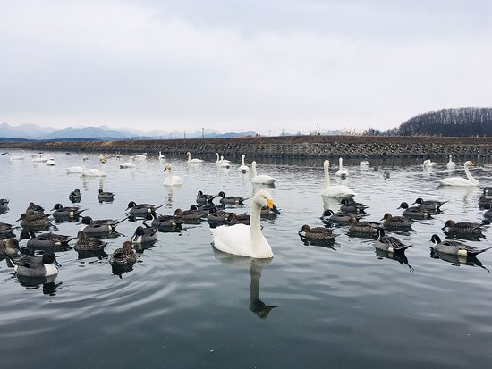 Nonomuratameike Lake景点图片