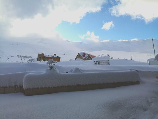 White Cedar Hotel主图