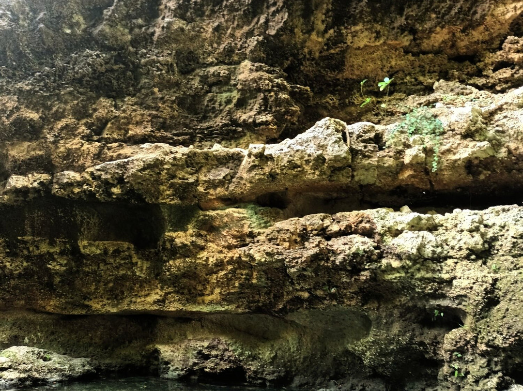 Temeling Jungle Inn主图