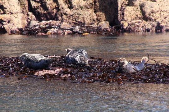 Venture Jet-St. Davids必去景点