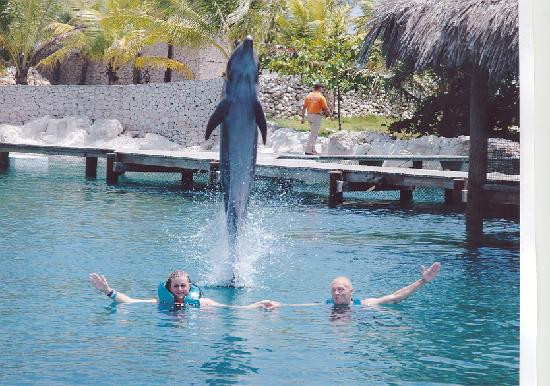Ocean World Adventure Park, Puerto Plata-普拉塔港必去景点