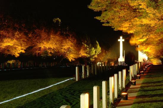 Terres de Memoire Somme Battlefield Tours景点图片