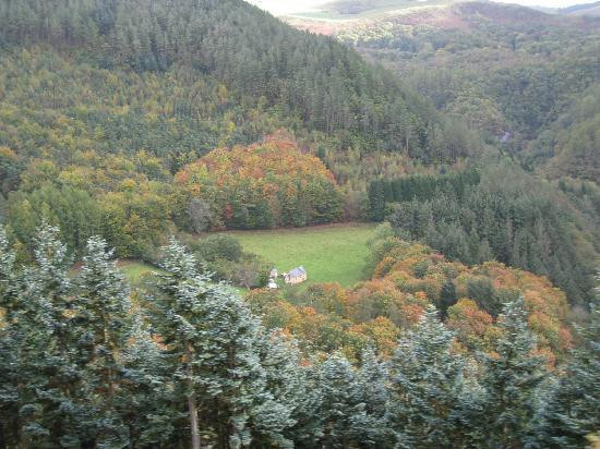 Vale of Rheidol Railway景点图片