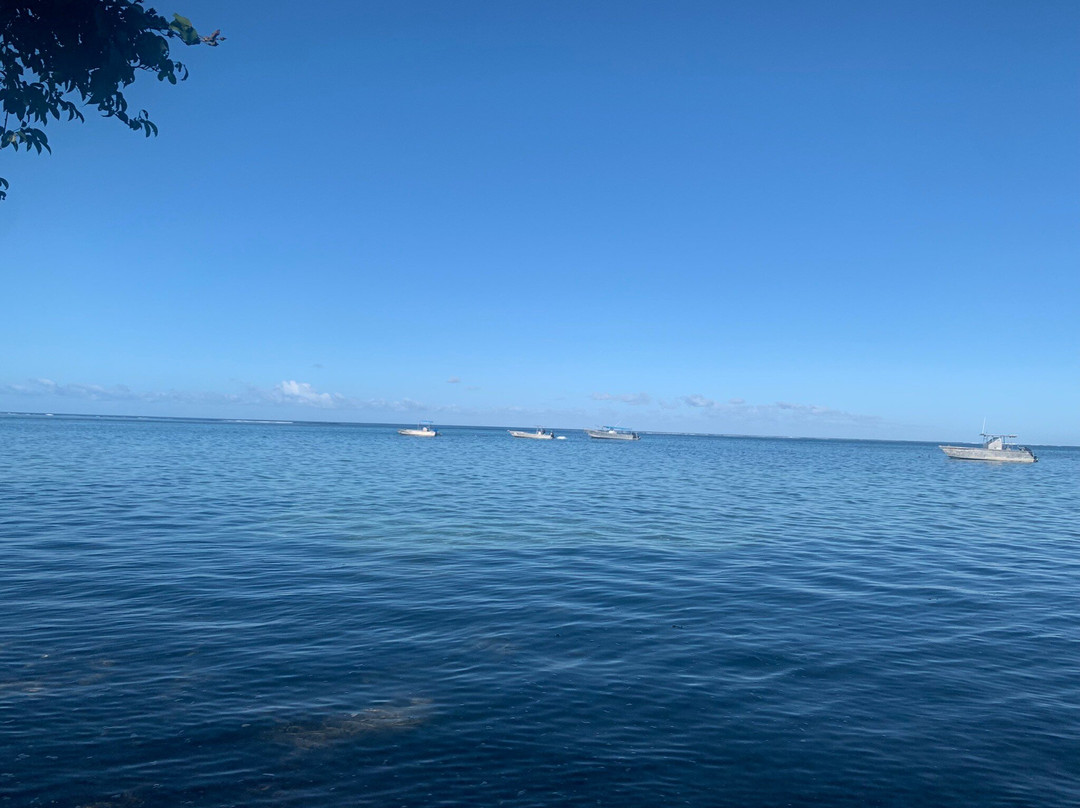 Diveaway Fiji景点图片