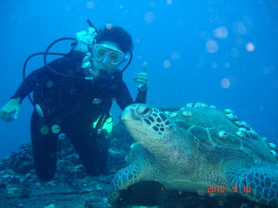夏威夷彩虹潜水呼吸器-火奴鲁鲁必去景点