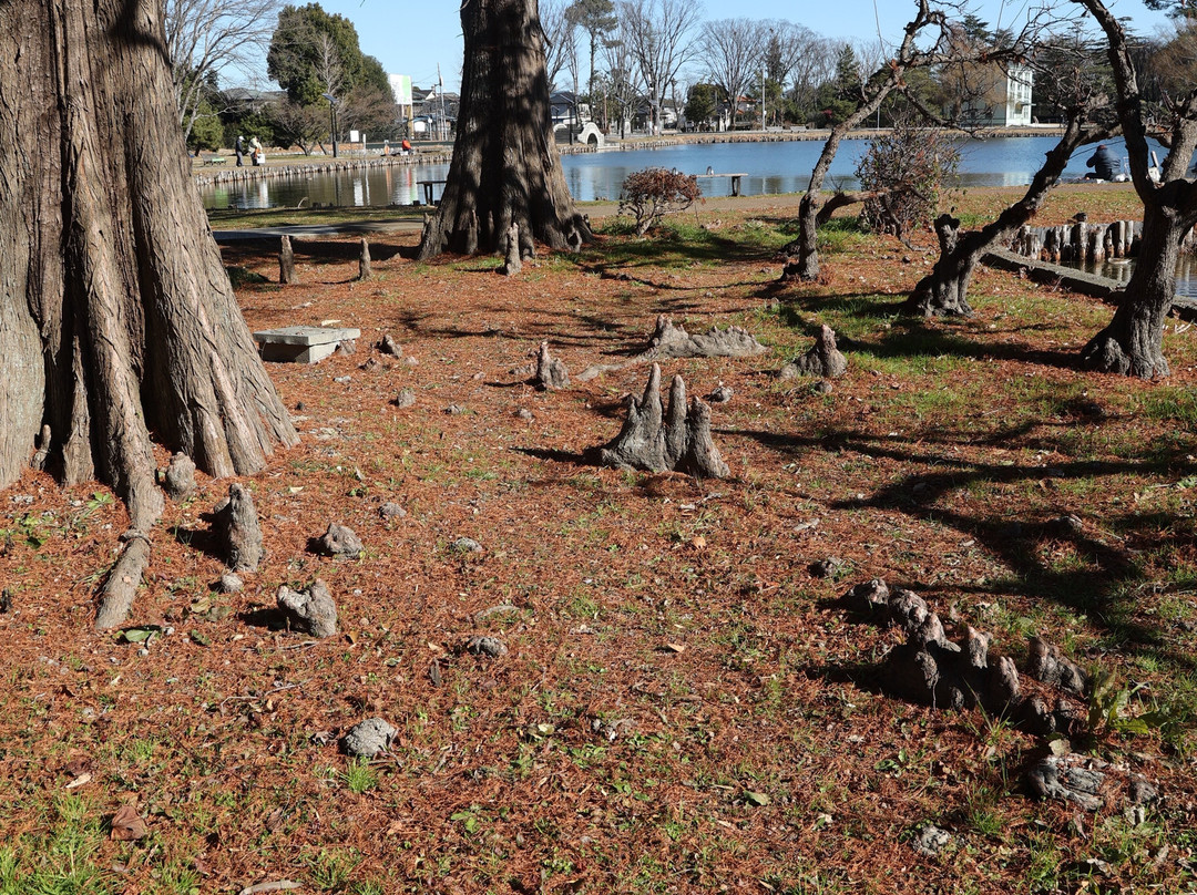Water Castle Park-行田市必去景点