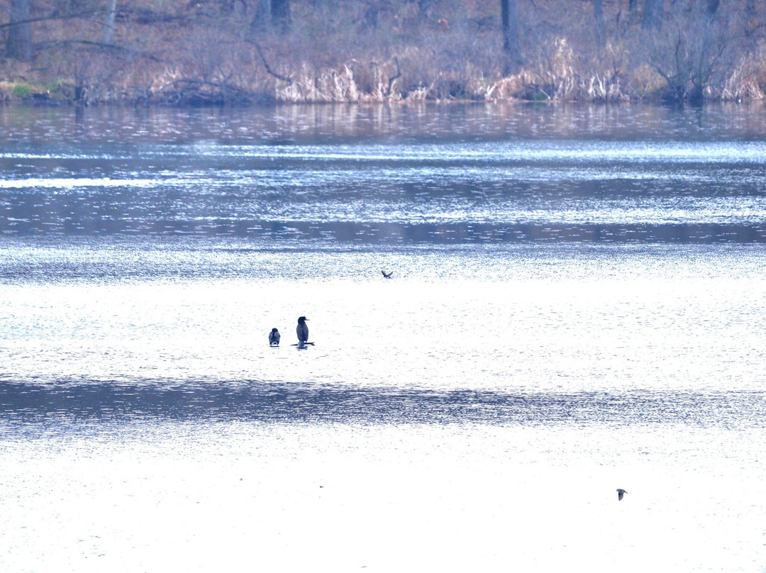 Little Red Schoolhouse-Willow Springs必去景点