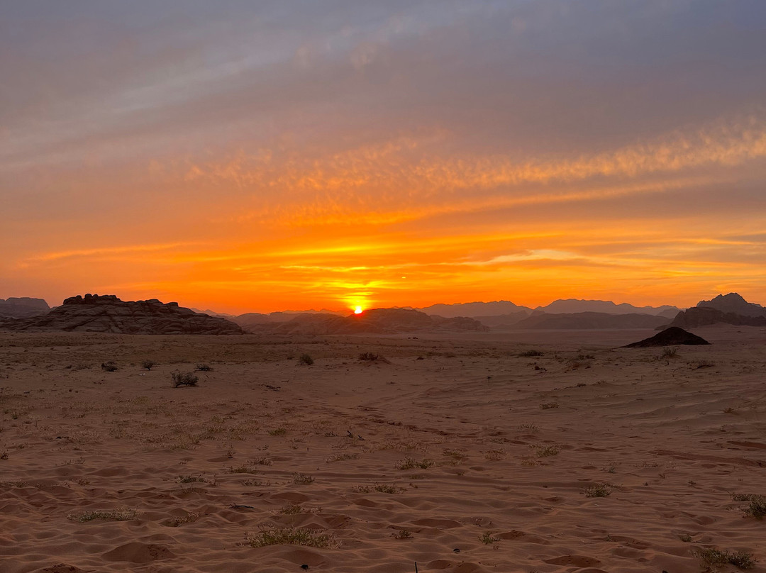 Wadi Rum Desert Dreams景点图片