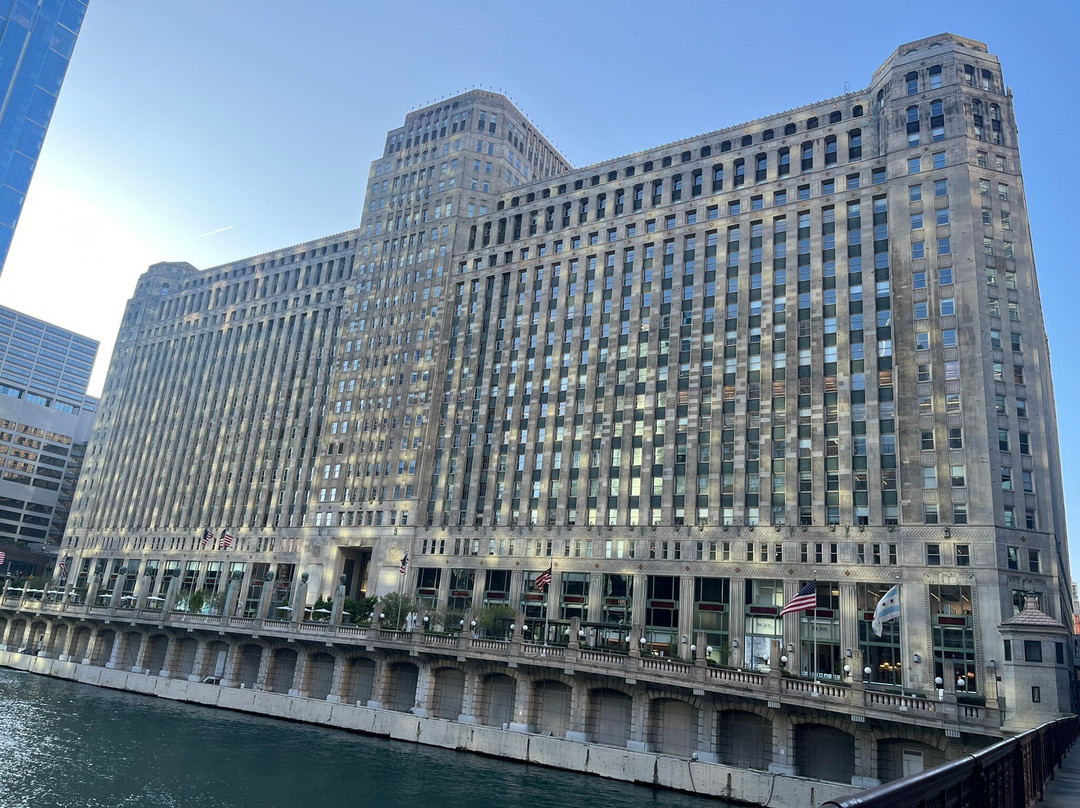 L Stop Tours-芝加哥必去景点