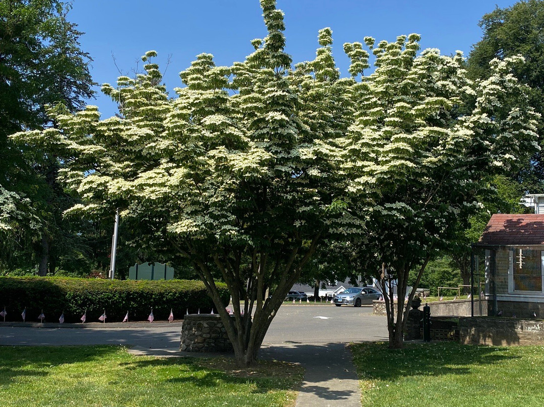 Boothe Memorial Park and Museum-Stratford必去景点