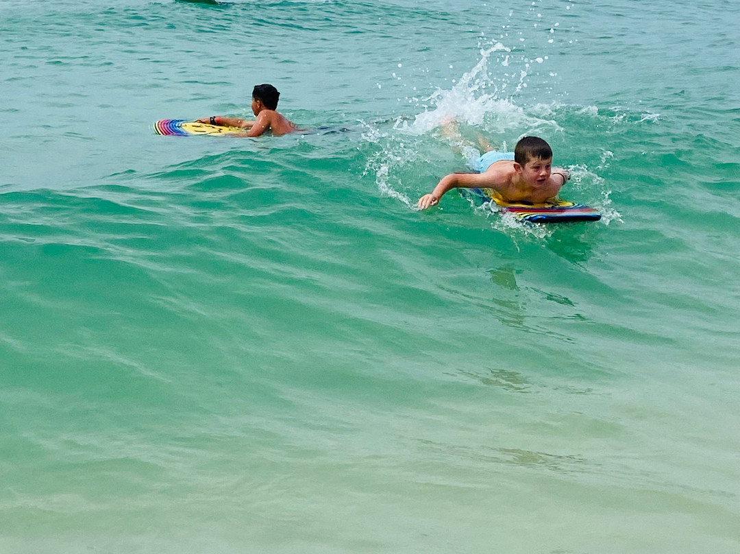 Osprey on the Gulf主图