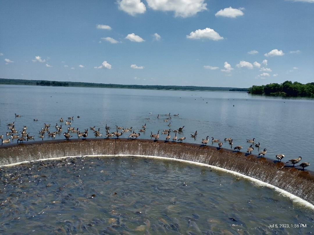 Linesville Spillway景点图片