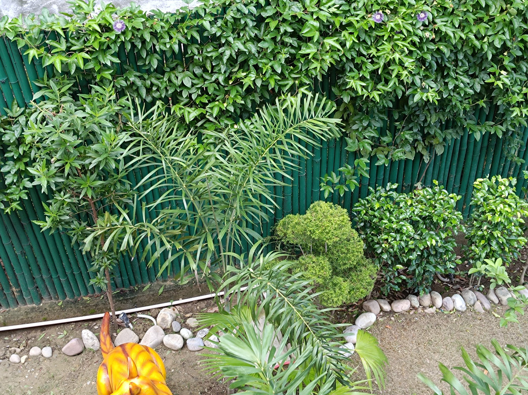 Wild Pensione Homestay主图