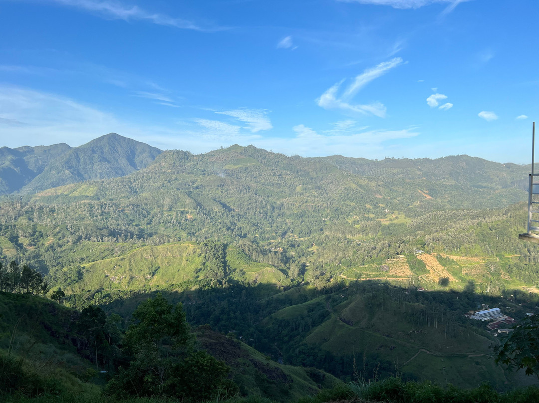 Windy Hill Viewpoint-埃勒必去景点