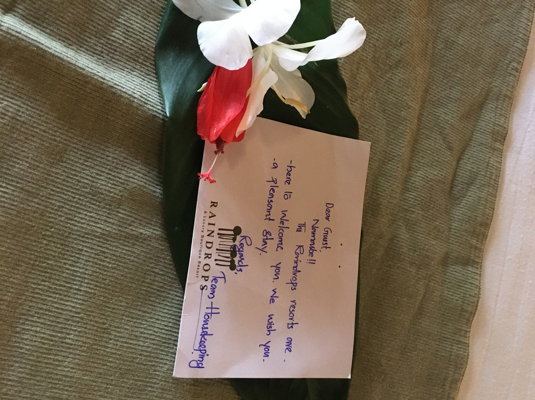 Raindrops Resorts主图