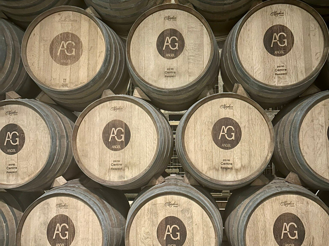 Bodegas Angel景点图片