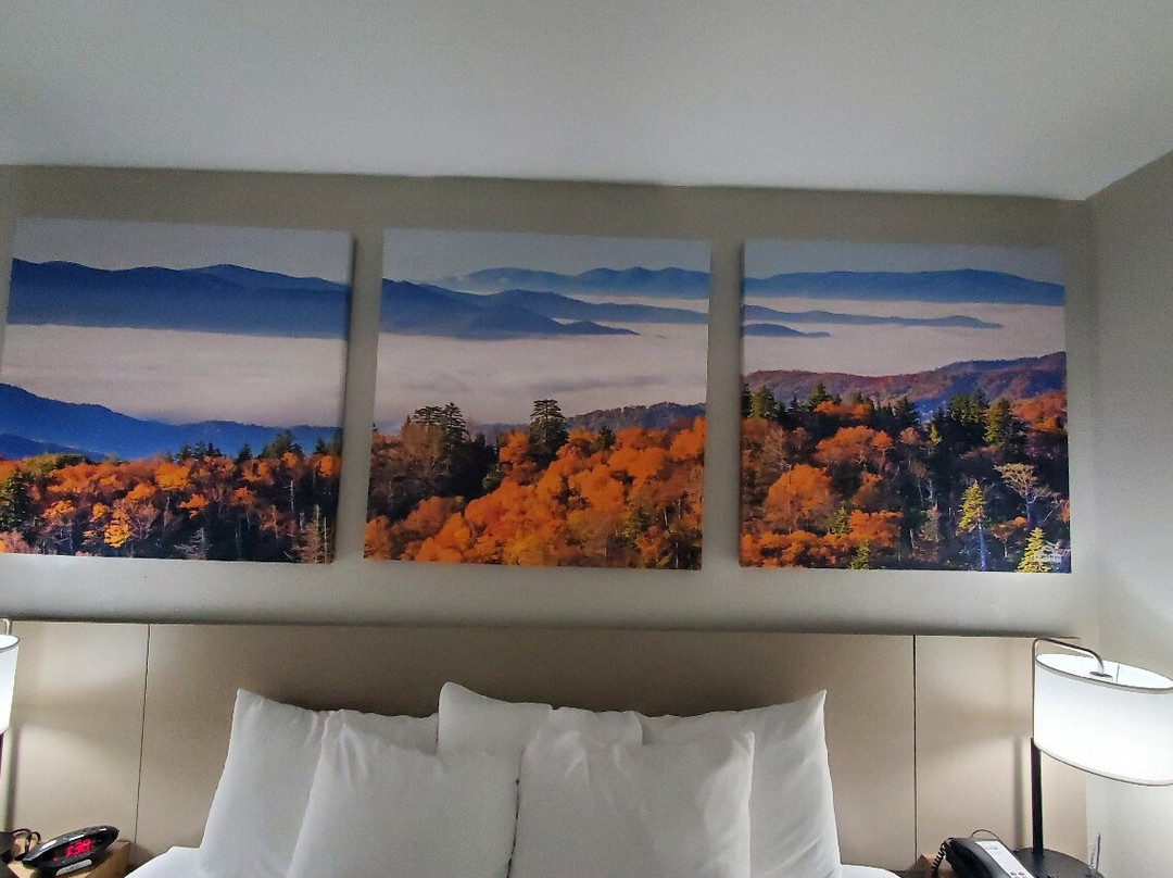 Days Inn by Wyndham Murphy主图