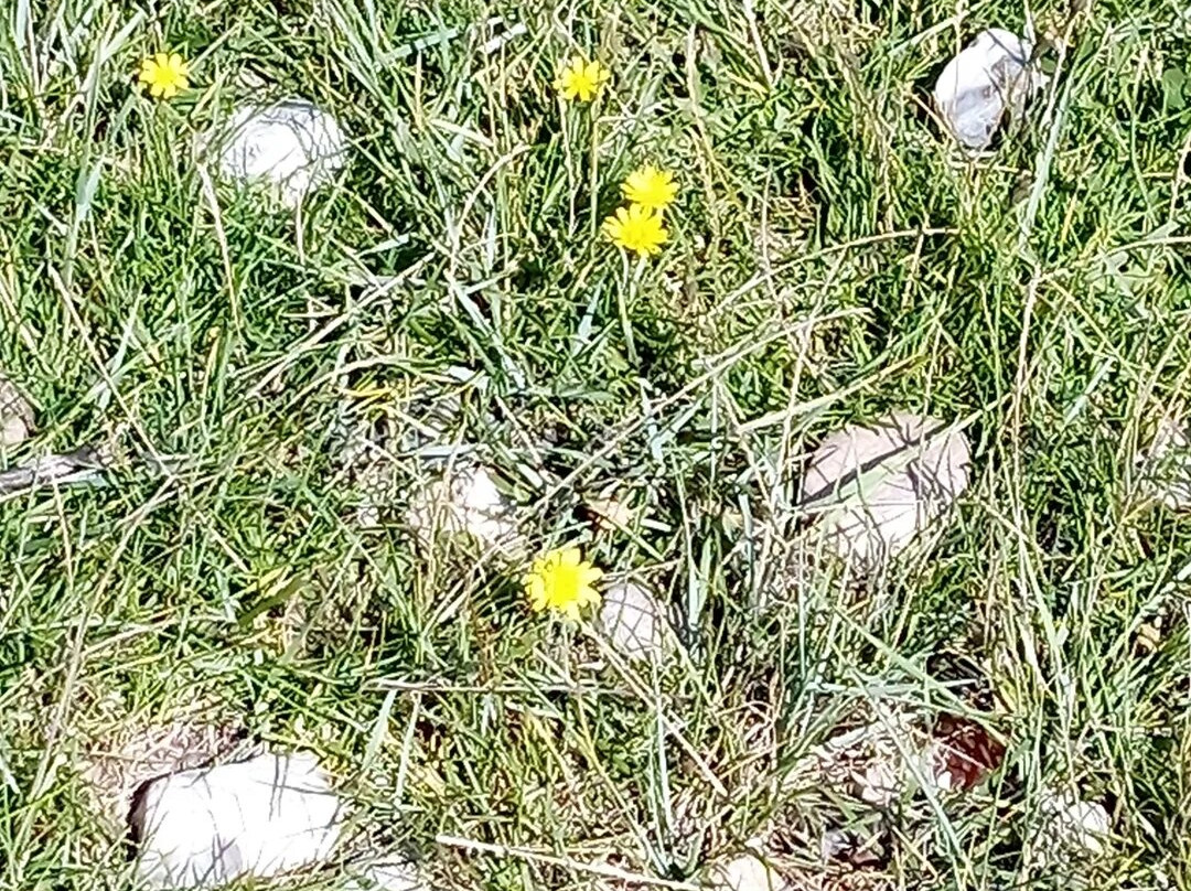 Alpengasthof zur Post主图