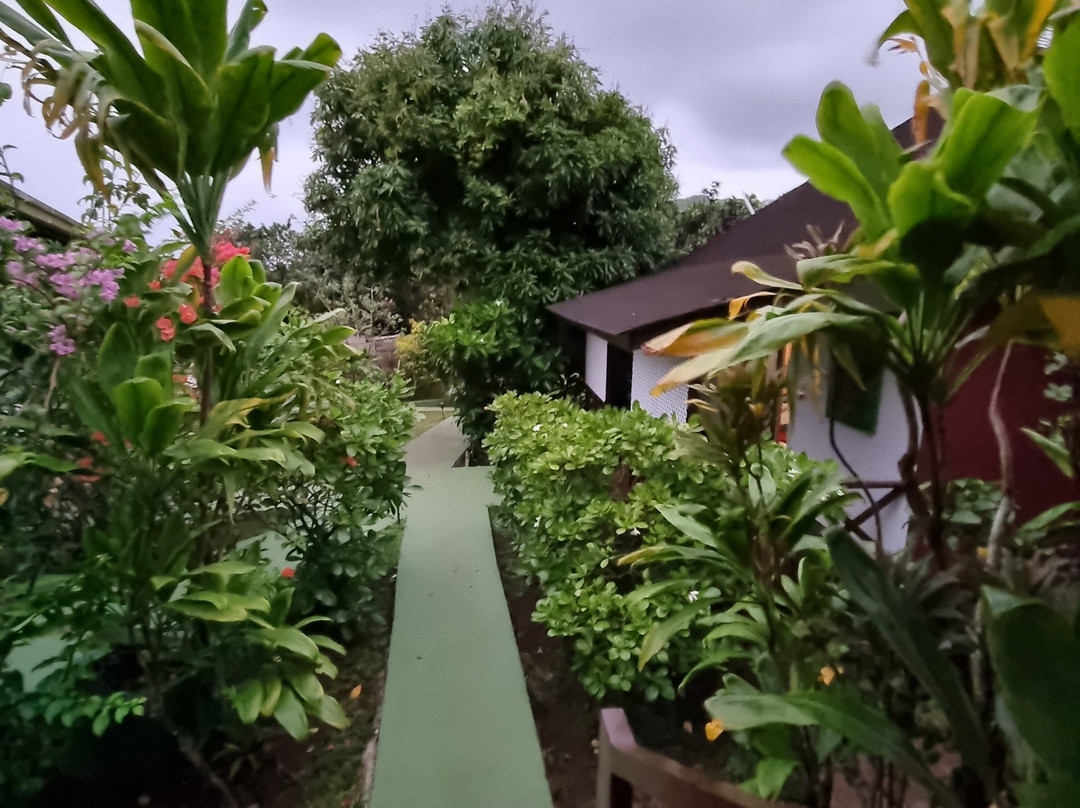 Pension Hibiscus Taha'a主图
