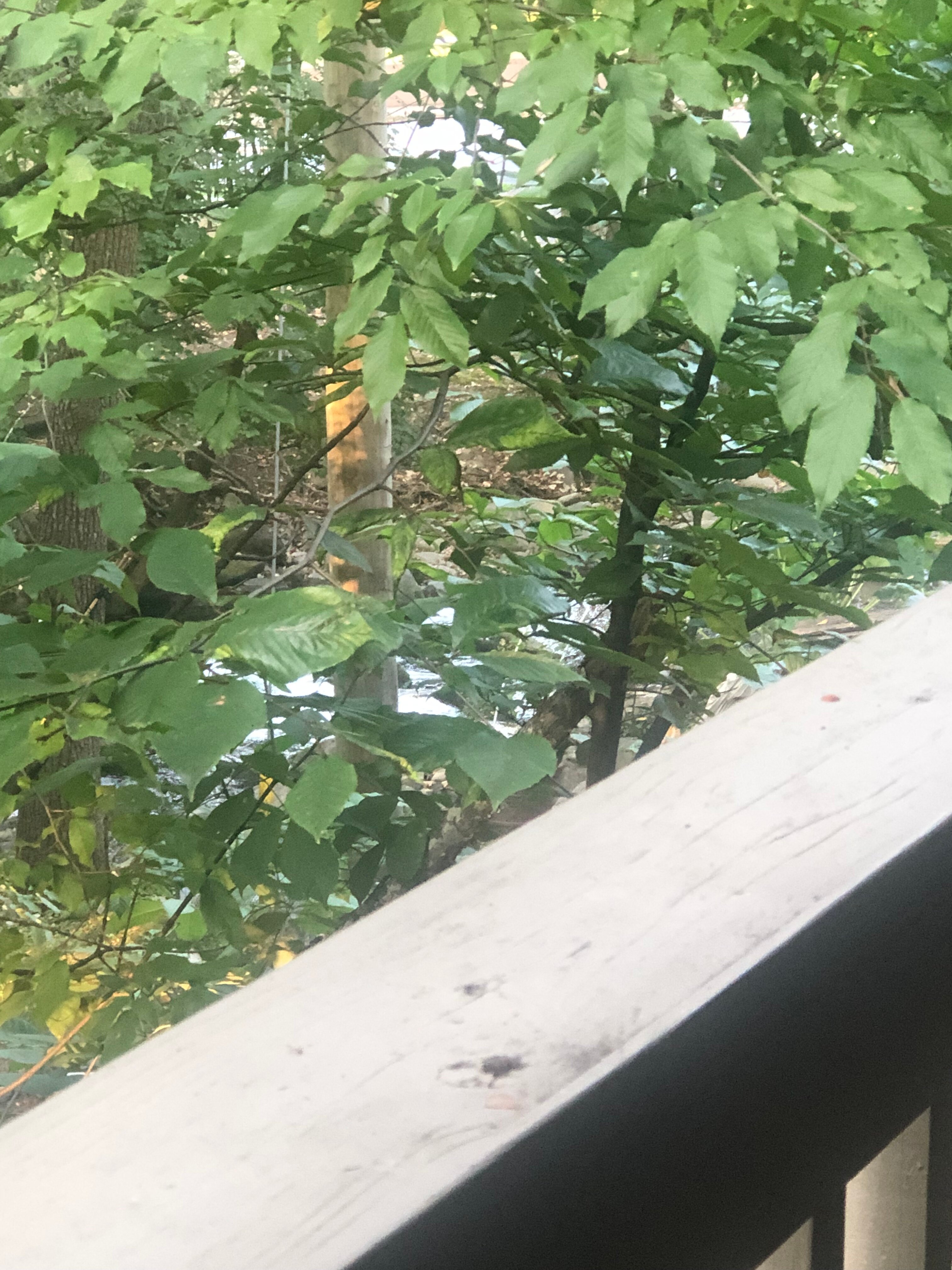 Carr's Northside Cottages & Motel-浴室