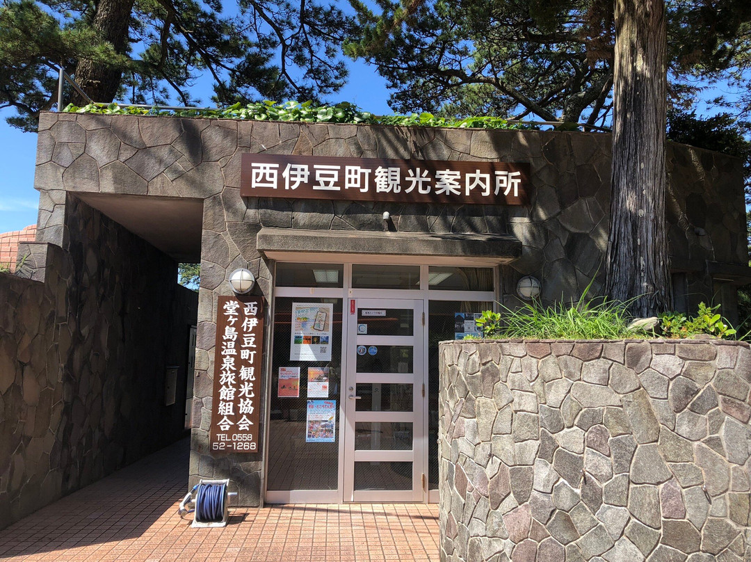 Nishiizucho Tourist Association Dogashima Tourist Information Center景点图片