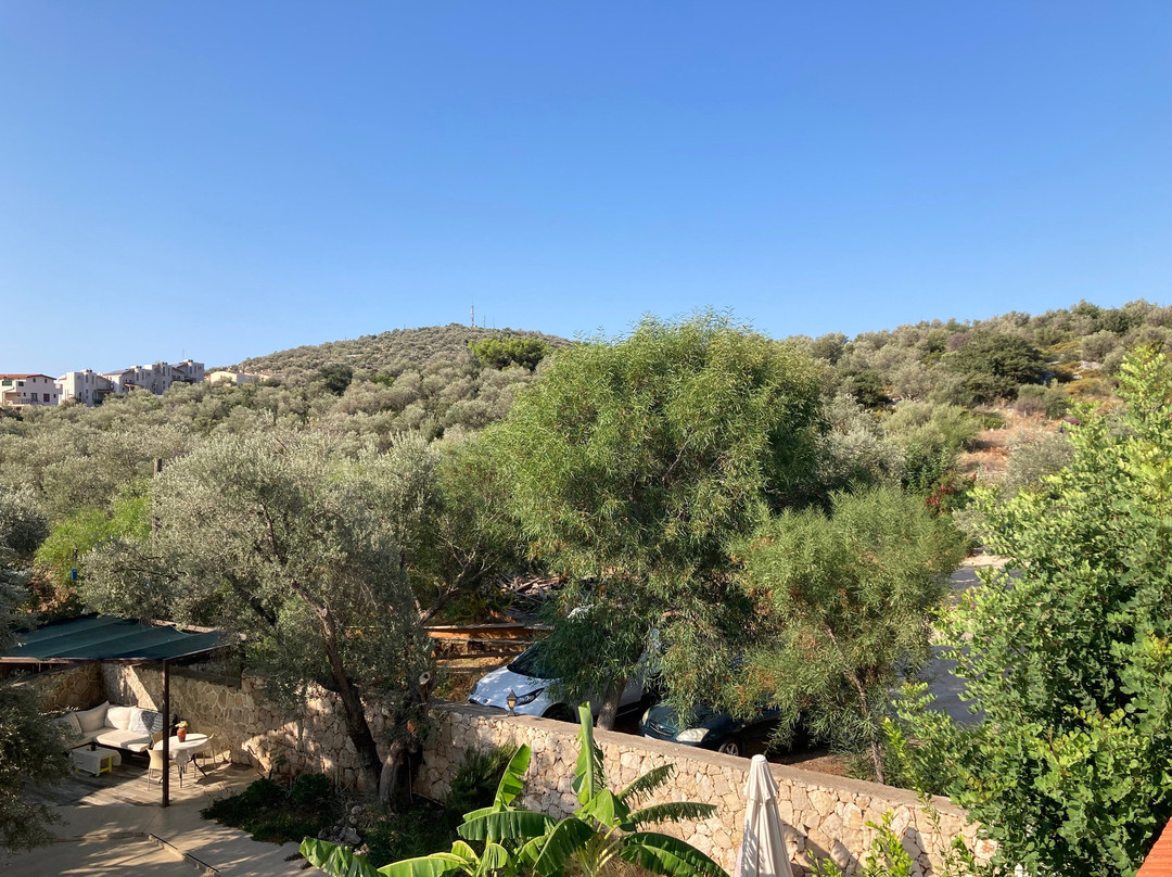 Pasha Apart-Hotel主图