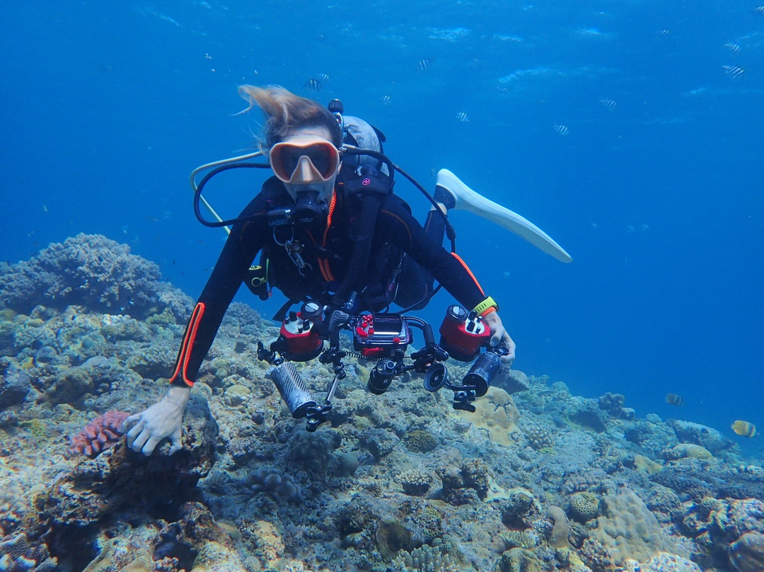 Aloha Divers Okinawa景点图片