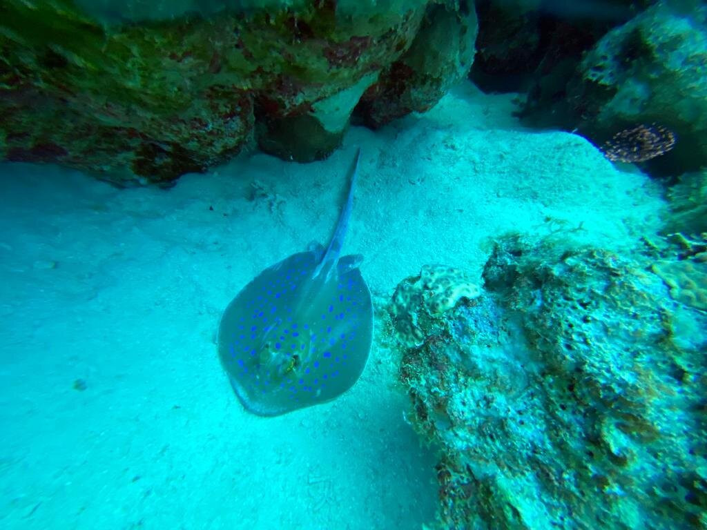 Shams Dive Centre-达哈卜必去景点