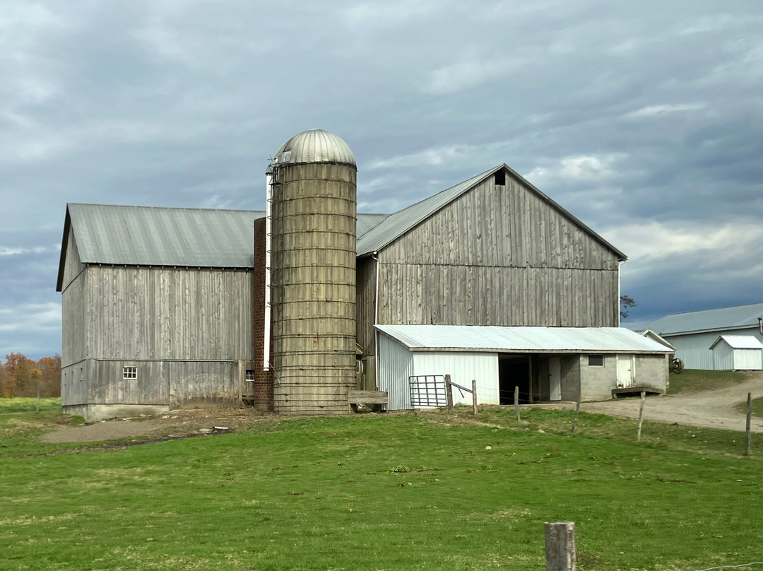 Simple Life Tours - Amish Tours-New Wilmington必去景点