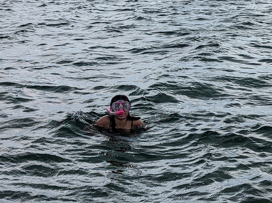 Tours of Key West Land and Sea-基韦斯特必去景点