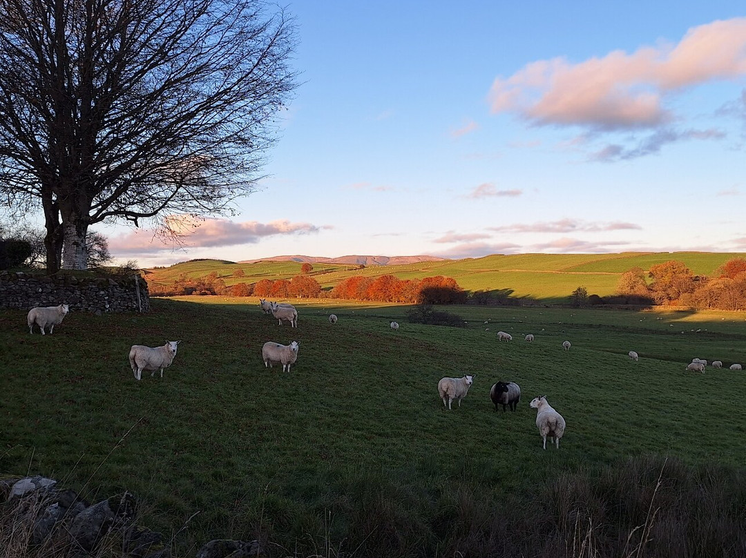 Cauldholm Bed and Breakfast主图
