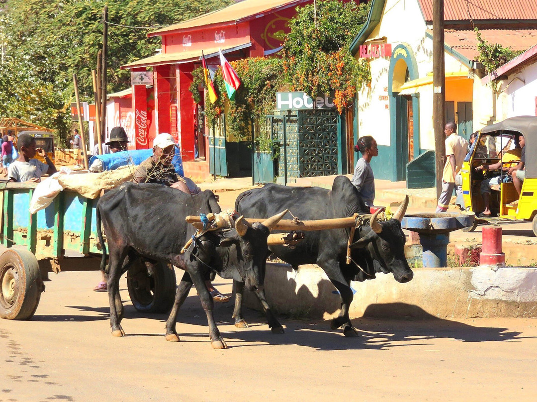 Marché Tsena Tanambao Ambony-Ihosy必去景点
