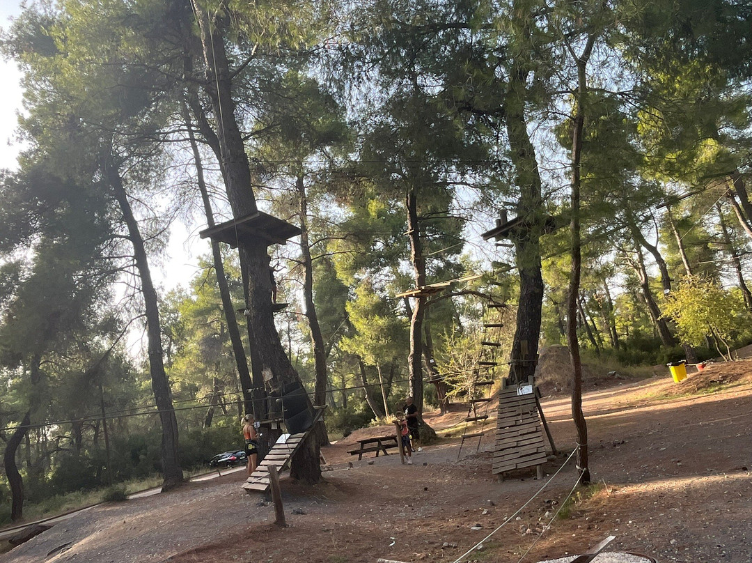 Athena Private Tours-雅典必去景点