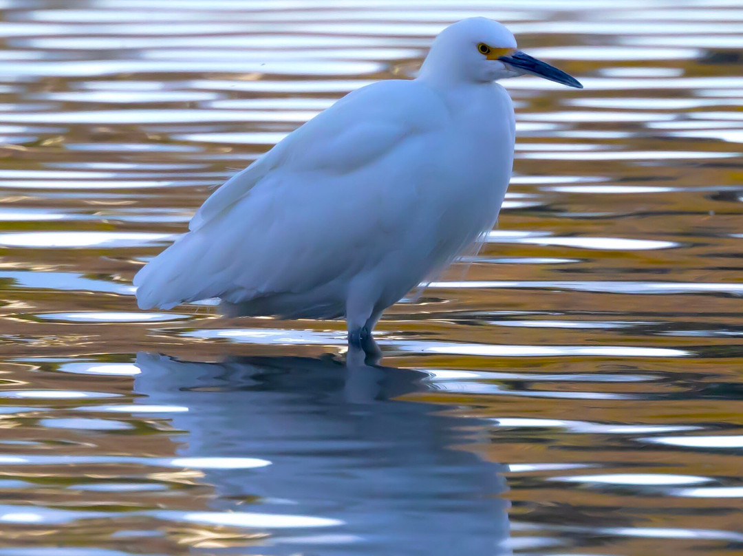 Frank G. Bonelli Regional Park-圣迪马斯必去景点